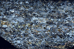 Cross Polarized, S70850