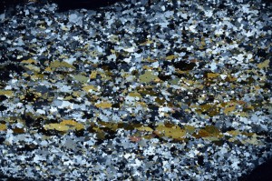 Cross Polarized, S70852