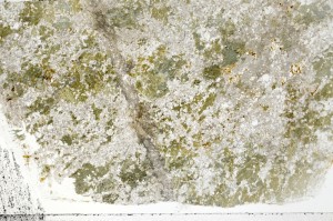 Plane Polarized, S70866