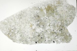 Plane Polarized, S70893