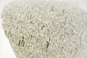 Plane Polarized, S70895