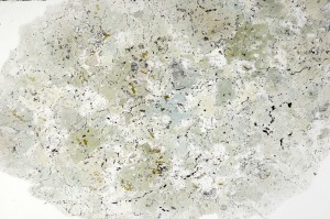 Plane Polarized, S70898