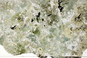 Plane Polarized, S70899