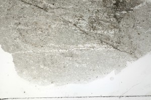 Plane Polarized, S70902