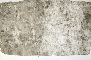 Plane Polarized, S70975