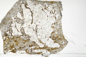 Plane Polarized, S70979