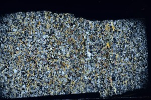 Cross Polarized, S70981