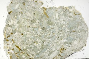 Plane Polarized, S70982