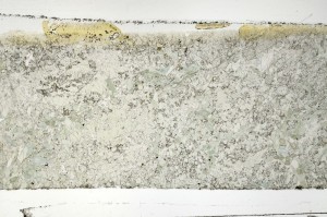 Plane Polarized, S70983