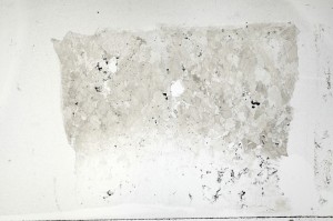 Plane Polarized, S70984