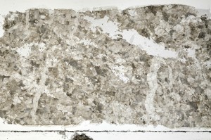 Plane Polarized, S70988