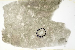 Plane Polarized, S71063