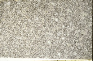 Plane Polarized, S71151