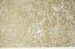 Plane Polarized, S71156