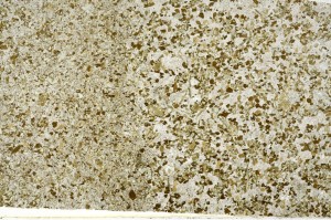 Plane Polarized, S71163