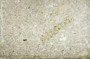 Plane Polarized, S71167