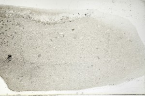 Plane Polarized, S71175