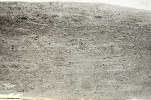 Plane Polarized, S71176