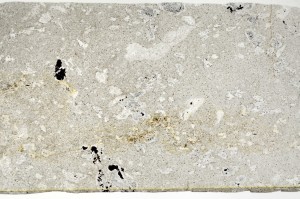 Plane Polarized, S71215