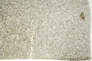 Plane Polarized, S71228