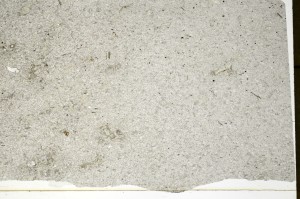 Plane Polarized, S71229