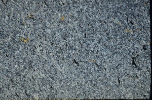 Cross Polarized, S71230