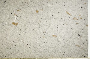 Plane Polarized, S71230