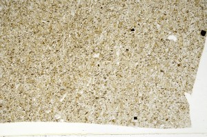 Plane Polarized, S71231