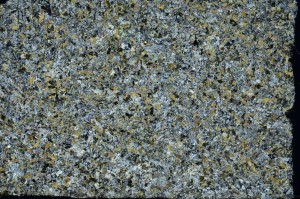 Cross Polarized, S71232