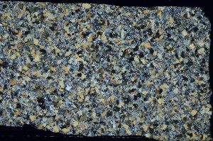 Cross Polarized, S71233