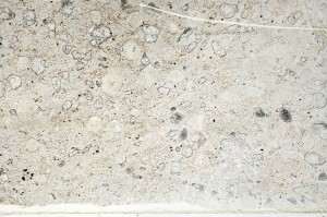 Plane Polarized, S71238