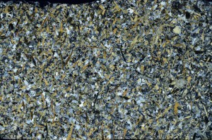 Cross Polarized, S71244