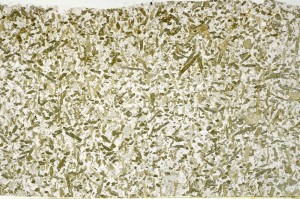 Plane Polarized, S71244