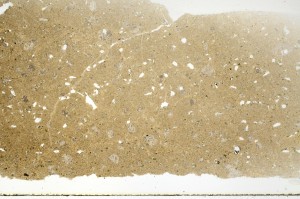 Plane Polarized, S71261