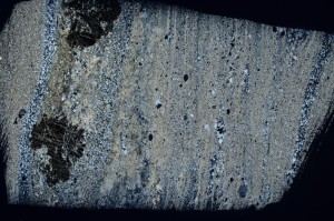 Cross Polarized, S71285