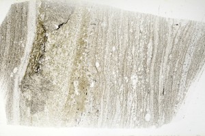 Plane Polarized, S71285