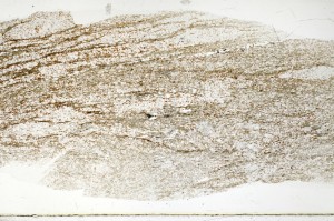 Plane Polarized, S71286