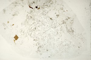 Plane Polarized, S71294
