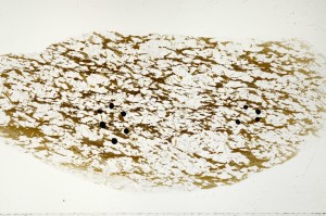 Plane Polarized, S71297