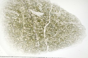 Plane Polarized, S71317