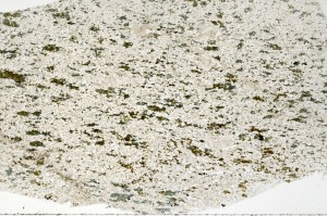Plane Polarized, S71322/A