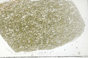 Plane Polarized, S71324