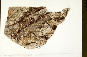 Plane Polarized, S71341