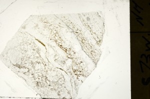 Plane Polarized, S71344
