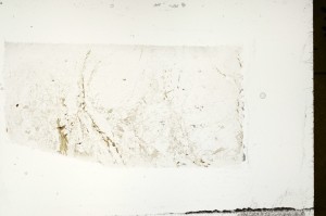 Plane Polarized, S71352