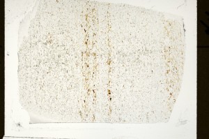 Plane Polarized, S71353