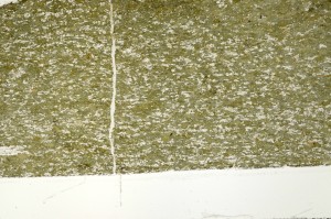 Plane Polarized, S71354
