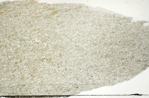 Plane Polarized, S71376