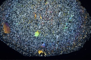 Cross Polarized, S71378