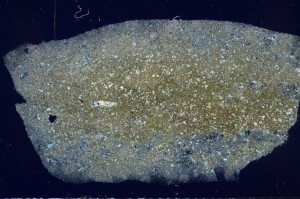 Cross Polarized, S71382